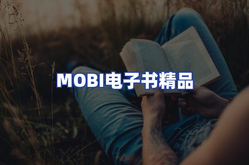 外文电子书产品