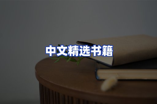 中文精选书籍